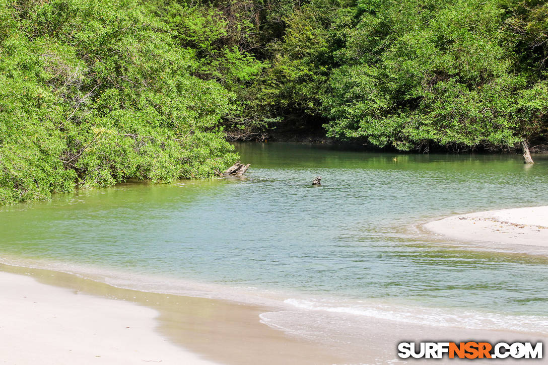 Nicaragua Surf Report - Report Photo 11/27/2020  5:07 PM 
