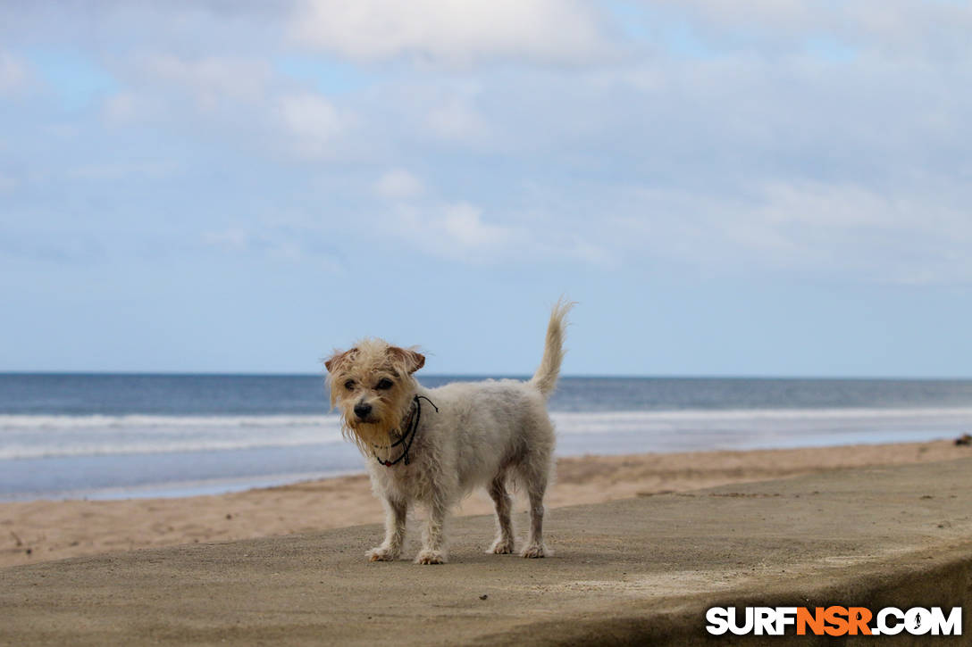 Nicaragua Surf Report - Report Photo 12/09/2021  12:54 PM 