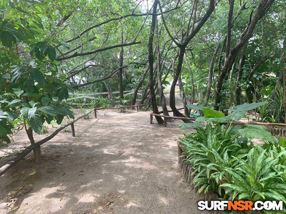 Nicaragua Surf Report - Report Photo 10/15/2019  11:31 AM 