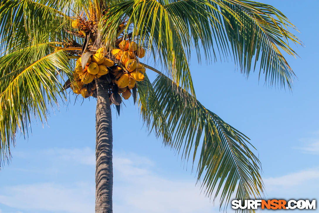 Nicaragua Surf Report - Report Photo 10/28/2021  12:51 PM 