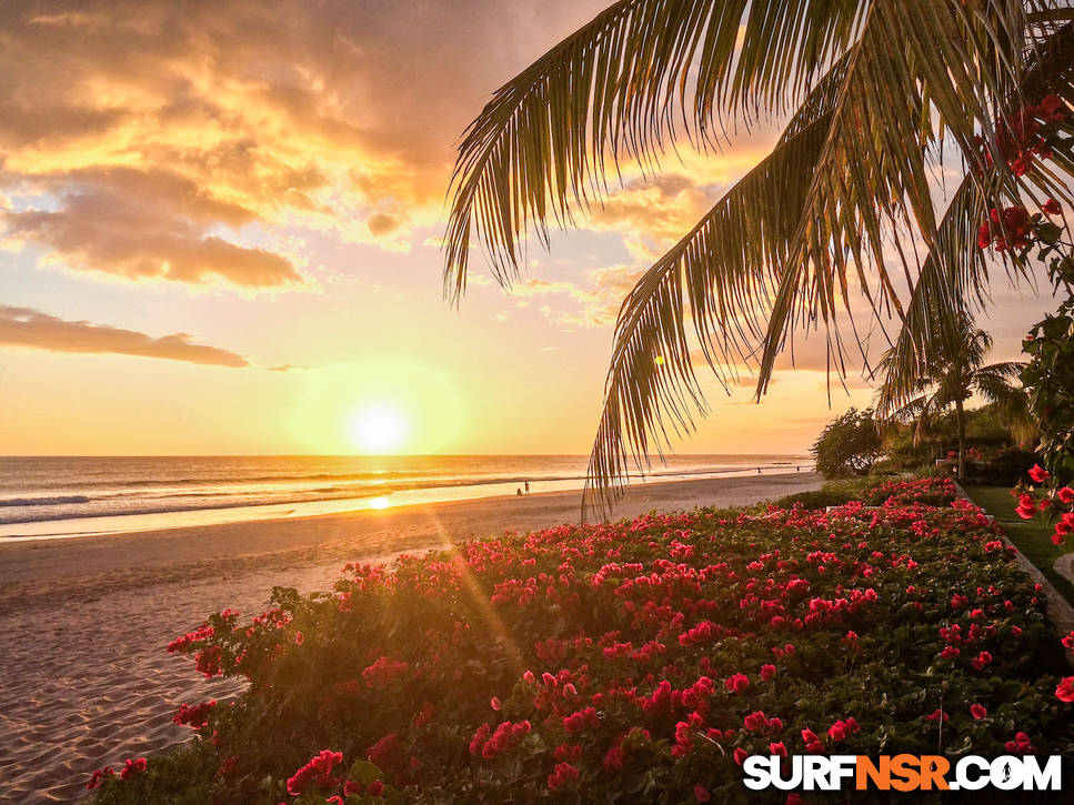 Nicaragua Surf Report - Report Photo 02/20/2021 7:10 PM