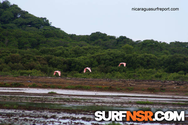 Nicaragua Surf Report - Report Photo 08/26/2010 8:40 PM