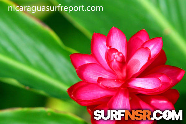 Nicaragua Surf Report - Report Photo 09/08/2012 11:43 AM