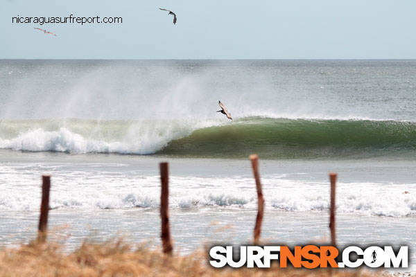 Nicaragua Surf Report - Report Photo 02/02/2015  5:14 PM 