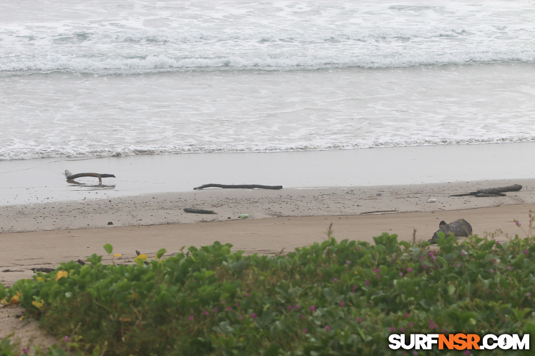 Nicaragua Surf Report - Report Photo 10/01/2017  9:34 AM 