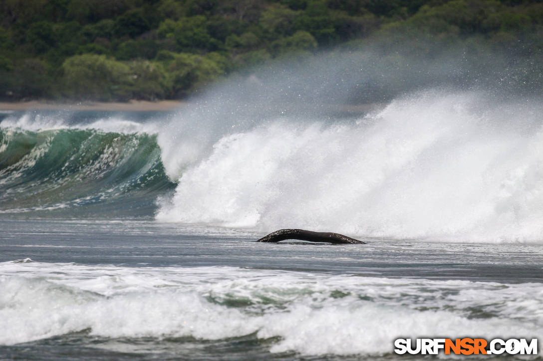 Nicaragua Surf Report - Report Photo 06/02/2021  9:09 PM 