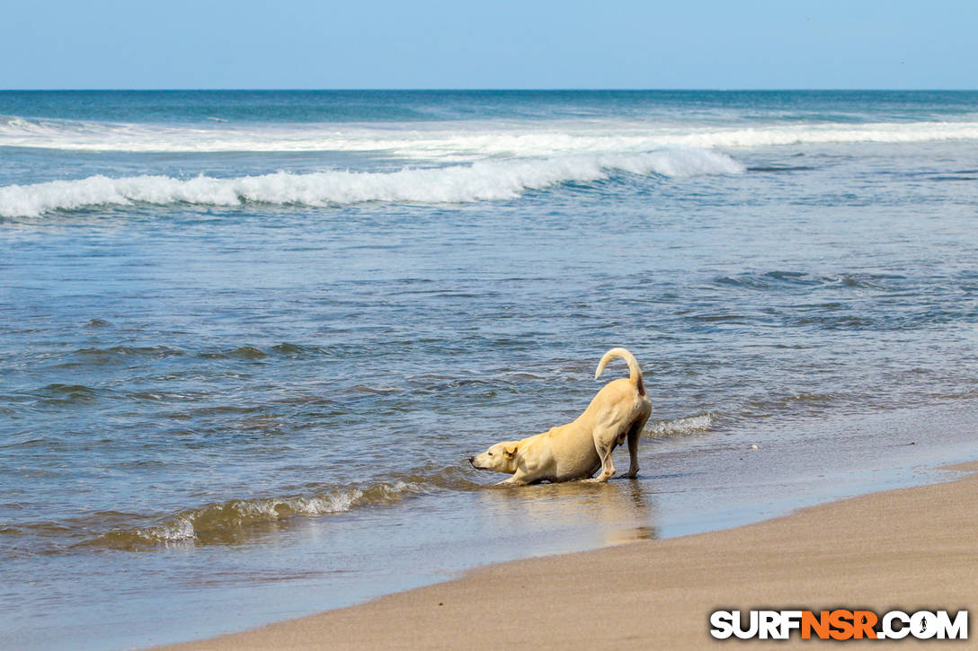 Nicaragua Surf Report - Report Photo 11/27/2021  3:25 PM 