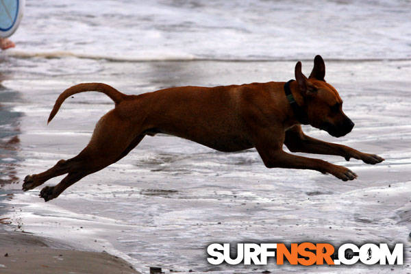 Nicaragua Surf Report - Report Photo 04/28/2010 3:10 PM