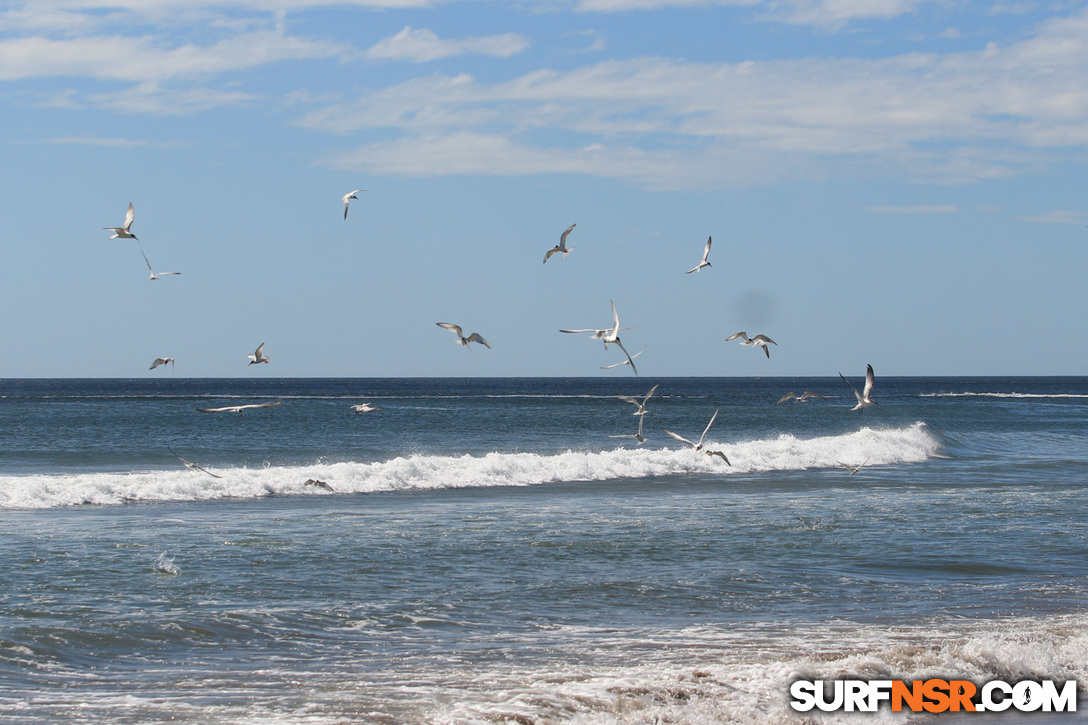 Nicaragua Surf Report - Report Photo 12/15/2016 3:10 PM