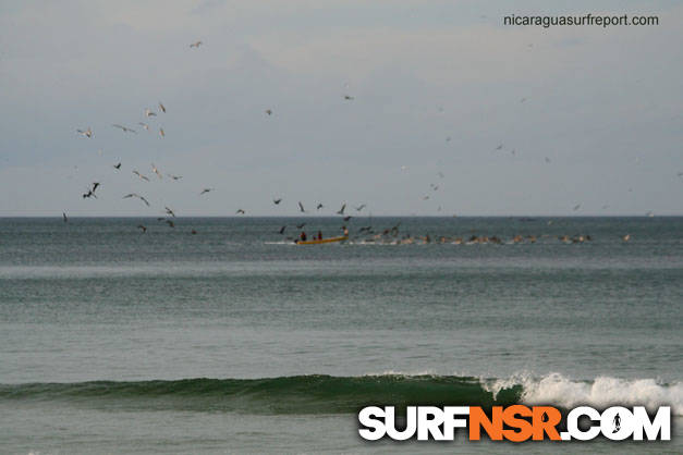 Nicaragua Surf Report - Report Photo 01/17/2009  3:34 PM 