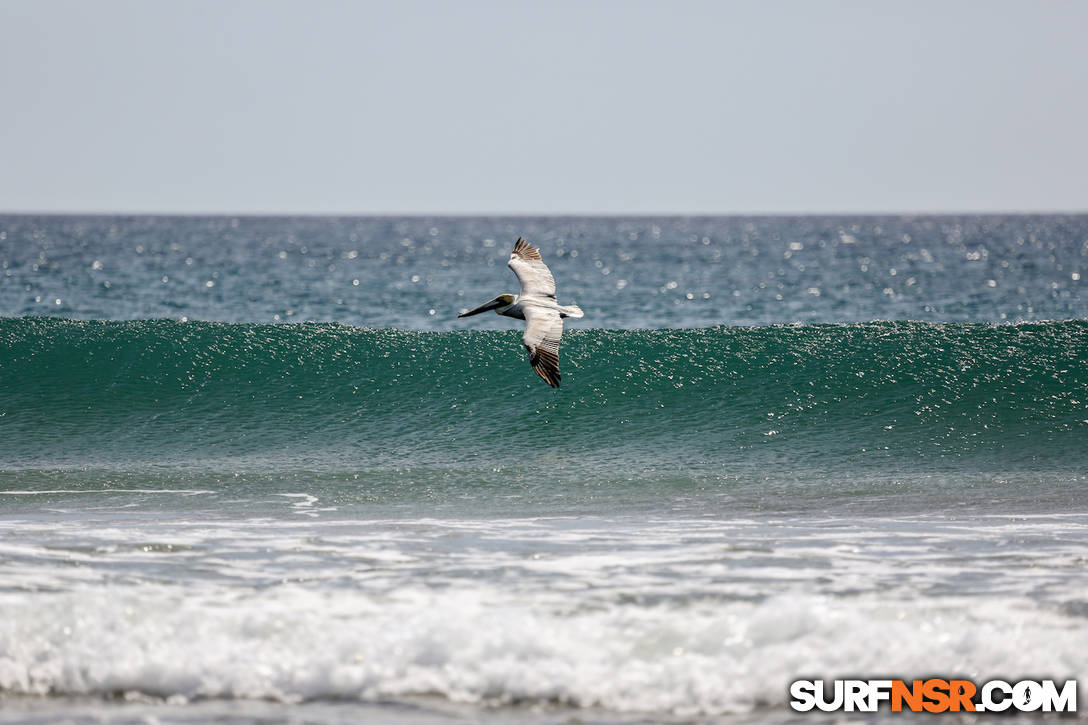 Nicaragua Surf Report - Report Photo 12/14/2018  8:15 PM 