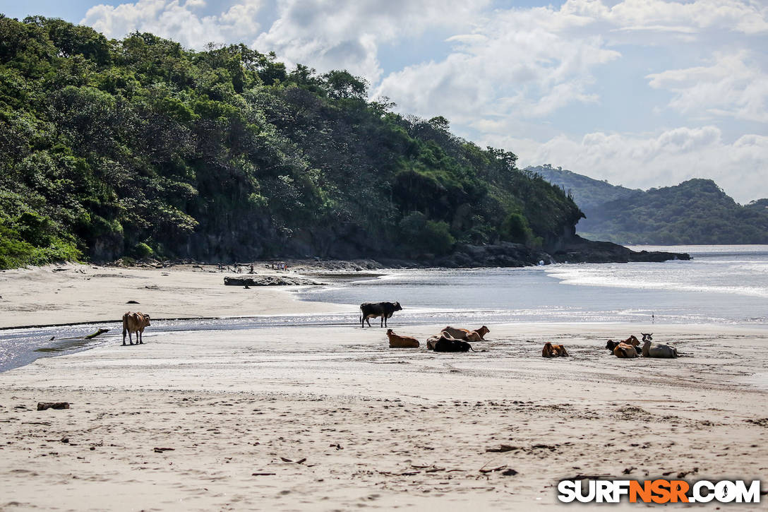Nicaragua Surf Report - Report Photo 12/04/2022  11:03 AM 