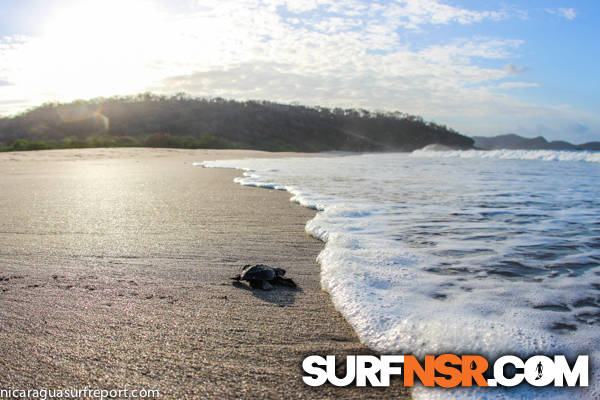 Nicaragua Surf Report - Report Photo 04/13/2015 2:40 PM