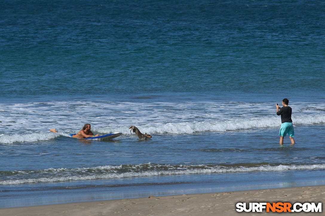 Nicaragua Surf Report - Report Photo 02/01/2016  1:18 PM 