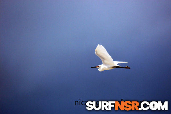 Nicaragua Surf Report - Report Photo 08/24/2012  4:44 PM 