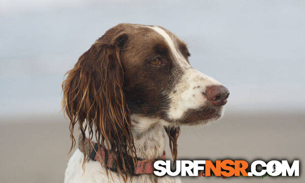 Nicaragua Surf Report - Report Photo 05/08/2010  12:44 PM 