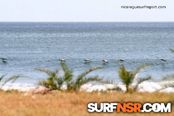 Nicaragua Surf Report - Report Photo 02/21/2010  7:05 PM 