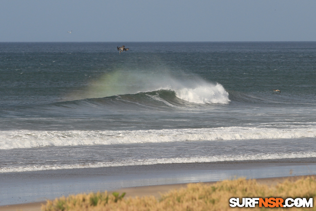 Nicaragua Surf Report - Report Photo 01/02/2017  5:06 PM 