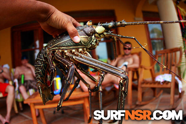 Nicaragua Surf Report - Report Photo 05/16/2012  8:04 PM 