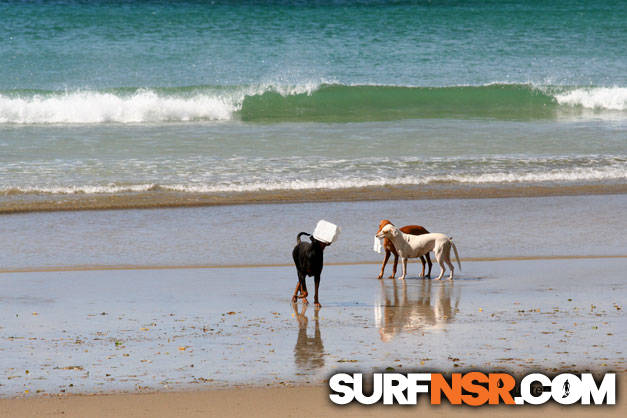 Nicaragua Surf Report - Report Photo 01/11/2010  12:36 PM 