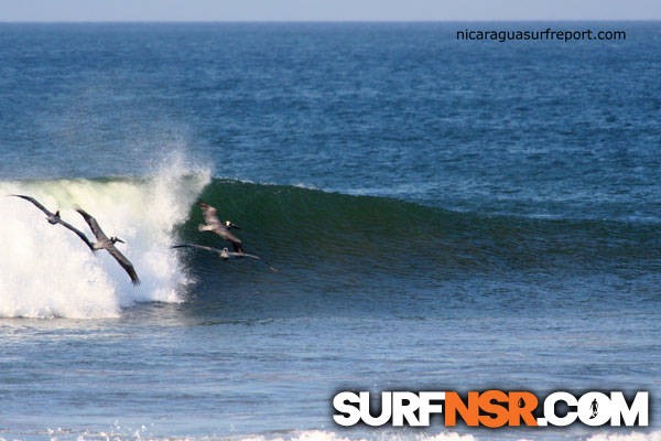 Nicaragua Surf Report - Report Photo 03/10/2010  12:46 PM 