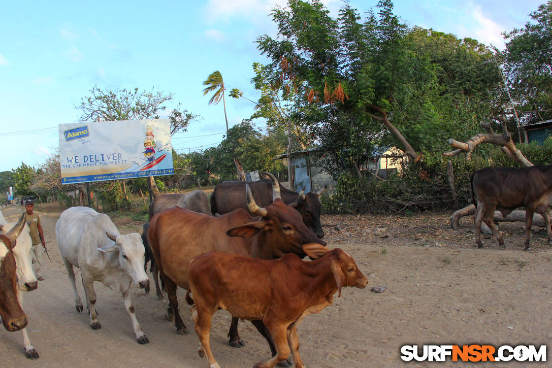 Nicaragua Surf Report - Report Photo 12/30/2015  12:36 PM 