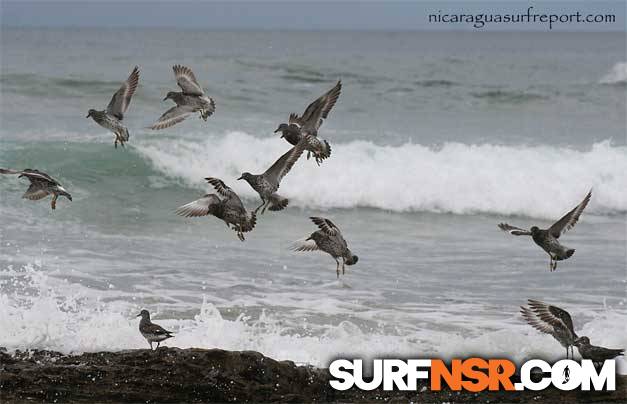 Nicaragua Surf Report - Report Photo 08/09/2007  4:31 PM 