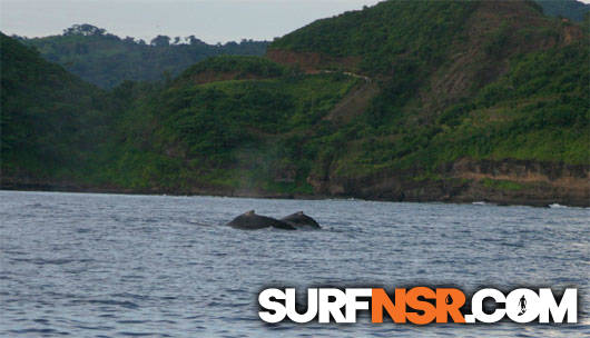 Nicaragua Surf Report - Report Photo 08/19/2005  10:45 AM 