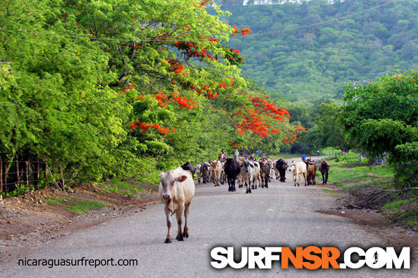 Nicaragua Surf Report - Report Photo 06/06/2013  8:55 PM 