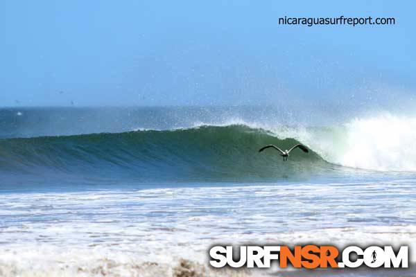 Nicaragua Surf Report - Report Photo 02/11/2014  5:32 PM 