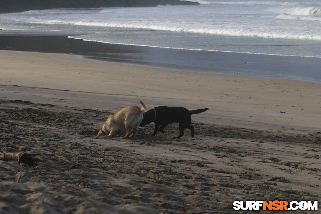 Nicaragua Surf Report - Report Photo 07/17/2019  1:15 PM 