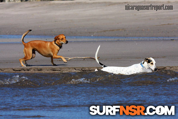 Nicaragua Surf Report - Report Photo 12/10/2011  11:54 AM 