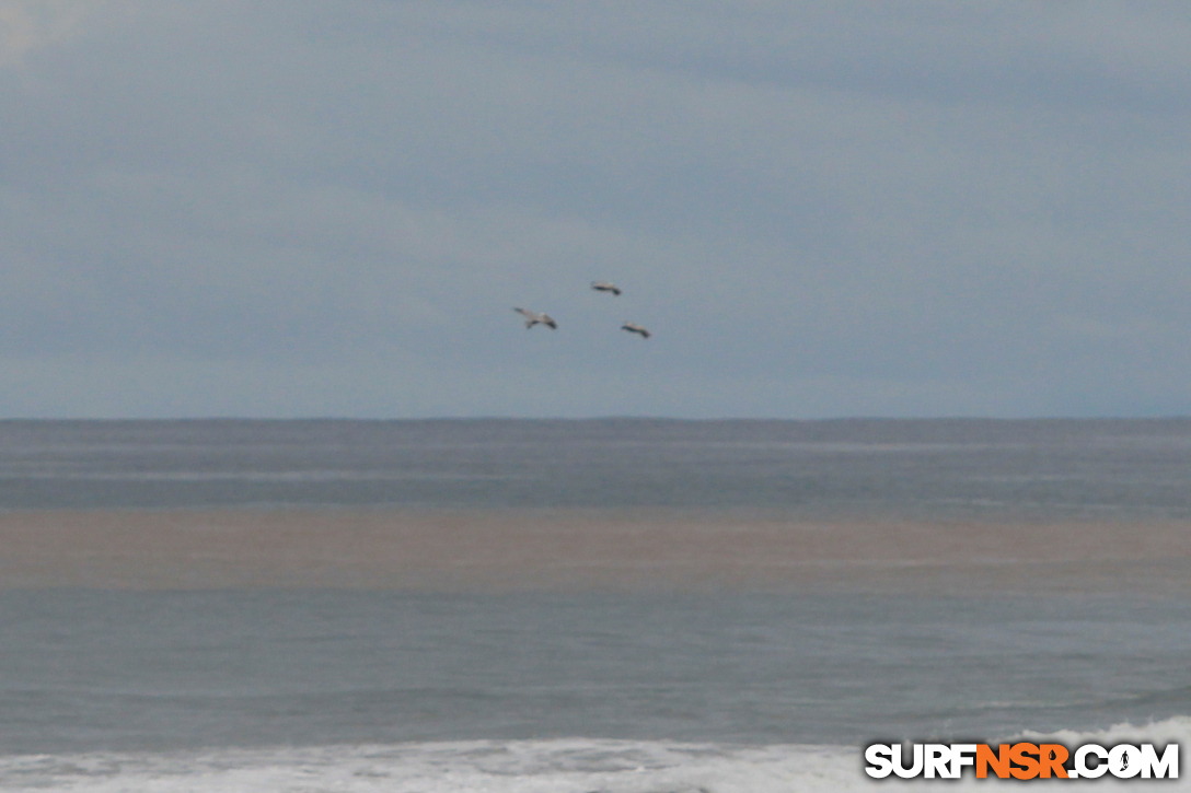 Nicaragua Surf Report - Report Photo 11/25/2016  1:17 PM 