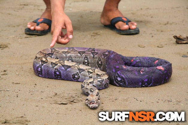 Nicaragua Surf Report - Report Photo 09/21/2008 9:35 AM