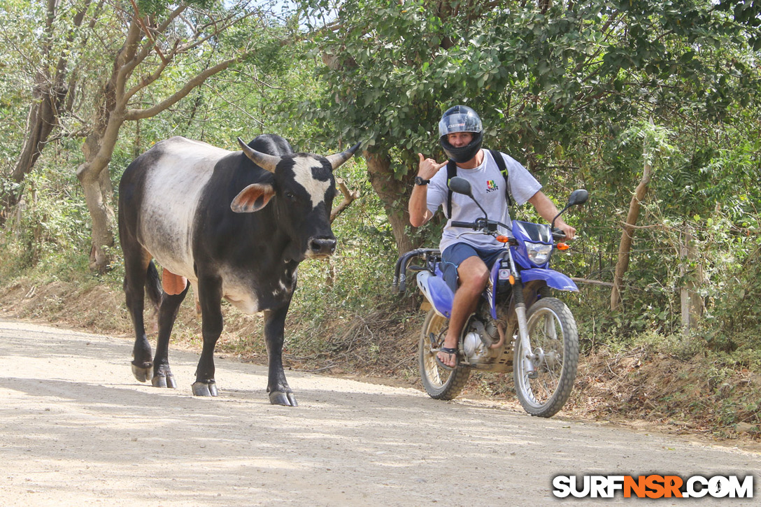 Nicaragua Surf Report - Report Photo 01/21/2017 12:19 PM