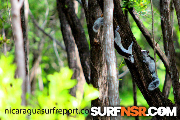 Nicaragua Surf Report - Report Photo 10/02/2012  11:43 AM 