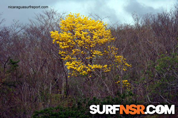 Nicaragua Surf Report - Report Photo 04/29/2010  5:50 PM 