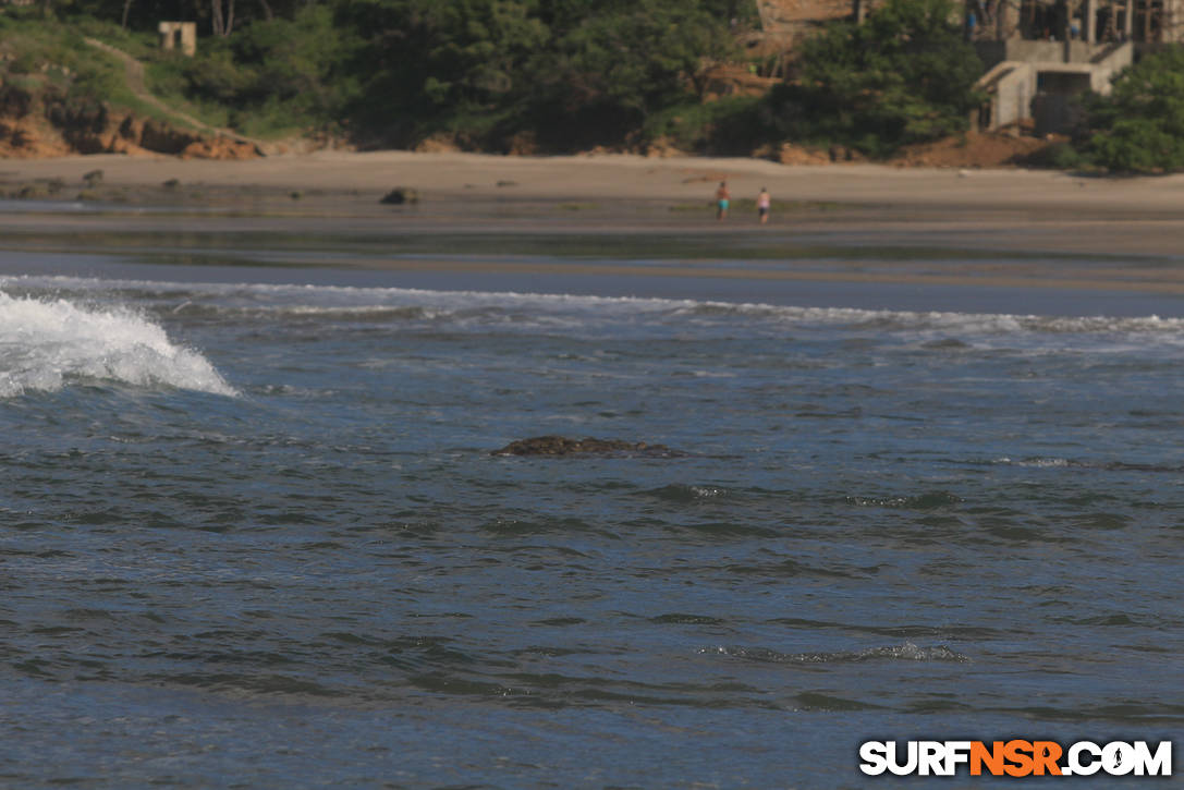 Nicaragua Surf Report - Report Photo 07/31/2019  10:06 AM 