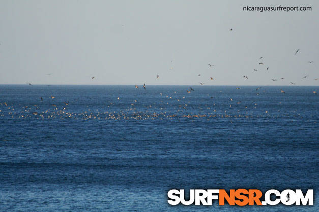 Nicaragua Surf Report - Report Photo 01/28/2008  7:48 PM 