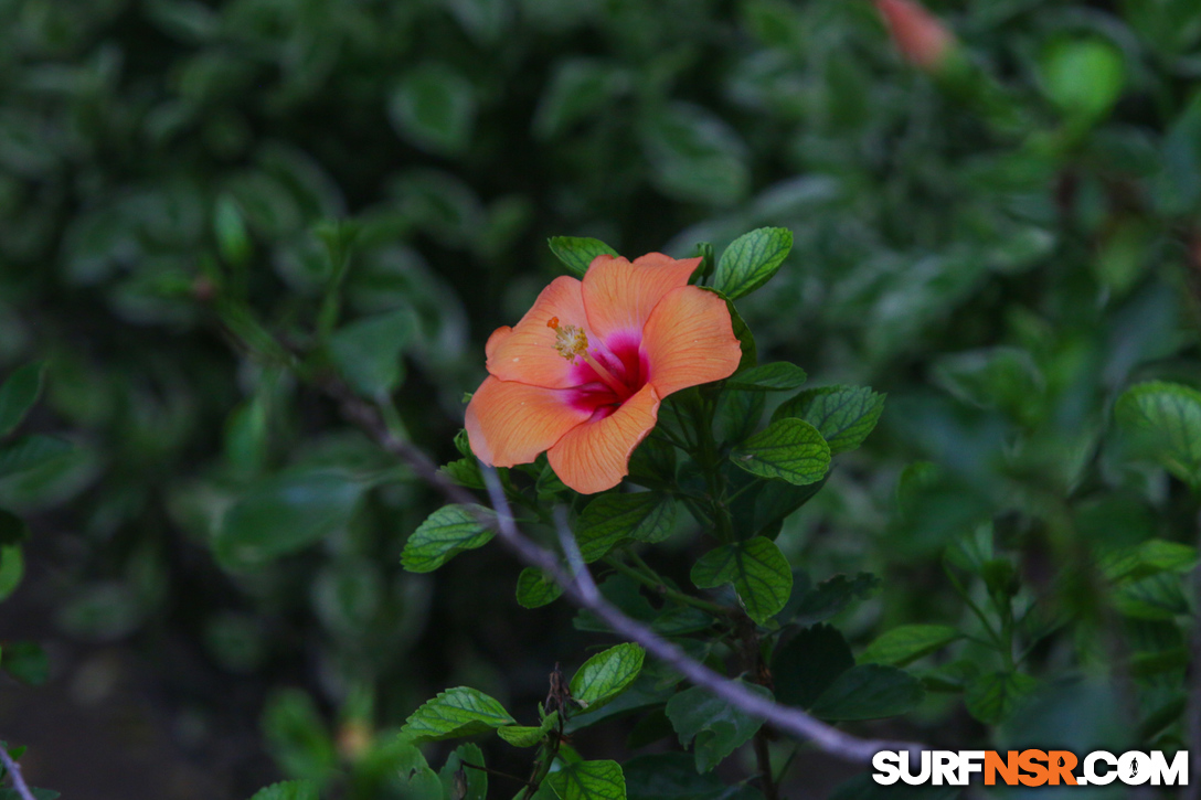 Nicaragua Surf Report - Report Photo 05/17/2017  8:05 AM 