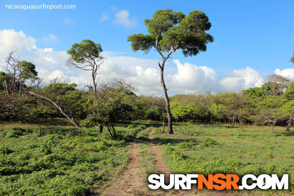 Nicaragua Surf Report - Report Photo 06/08/2011  5:36 PM 