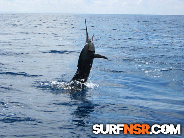 Nicaragua Surf Report - Report Photo 08/26/2010 1:15 PM