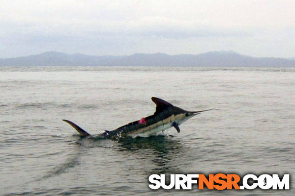 Nicaragua Surf Report - Report Photo 04/06/2012  2:40 PM 