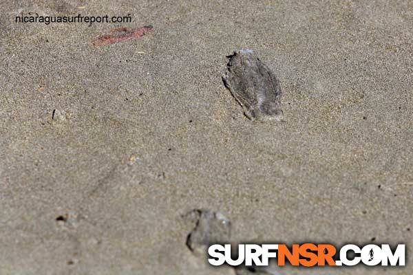 Nicaragua Surf Report - Report Photo 03/07/2011 4:55 PM