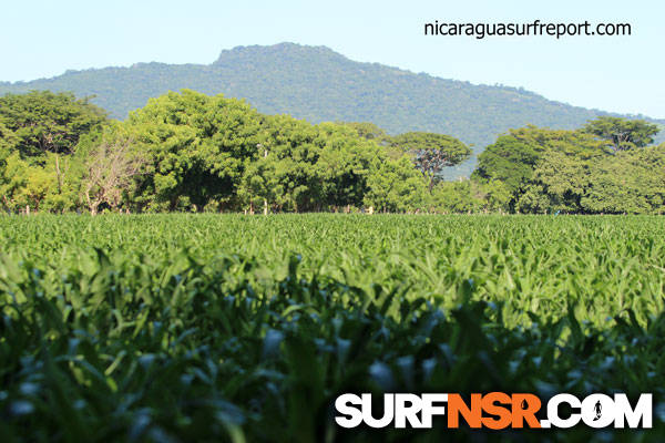 Nicaragua Surf Report - Report Photo 11/07/2014  4:11 PM