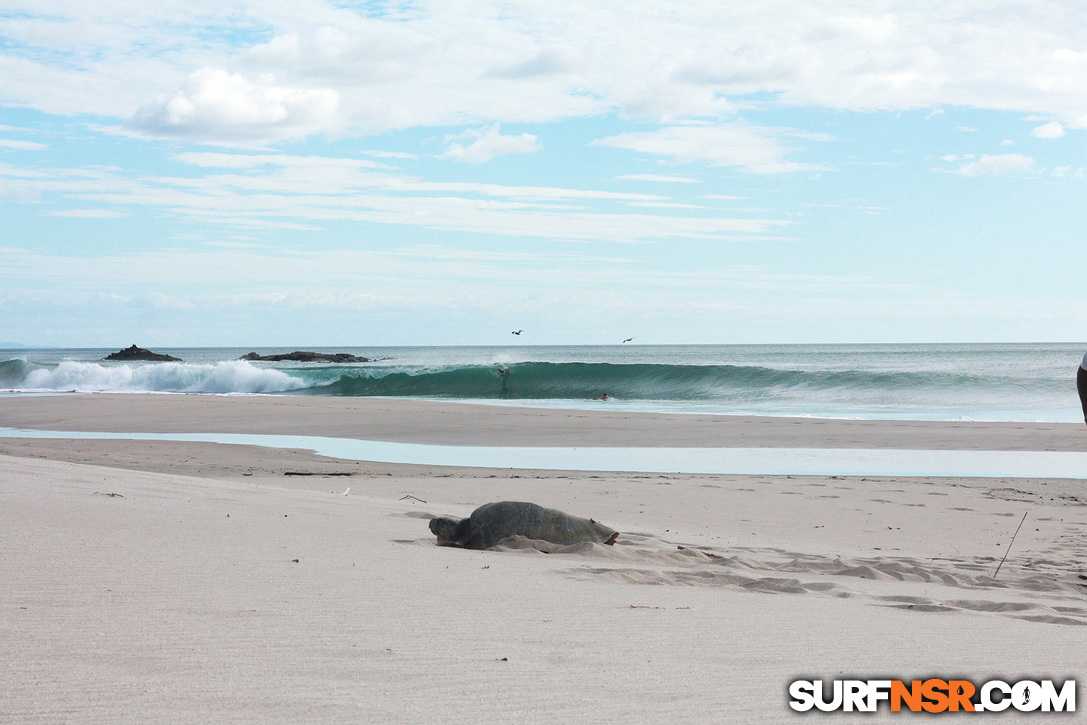 Nicaragua Surf Report - Report Photo 01/17/2018  10:11 PM 