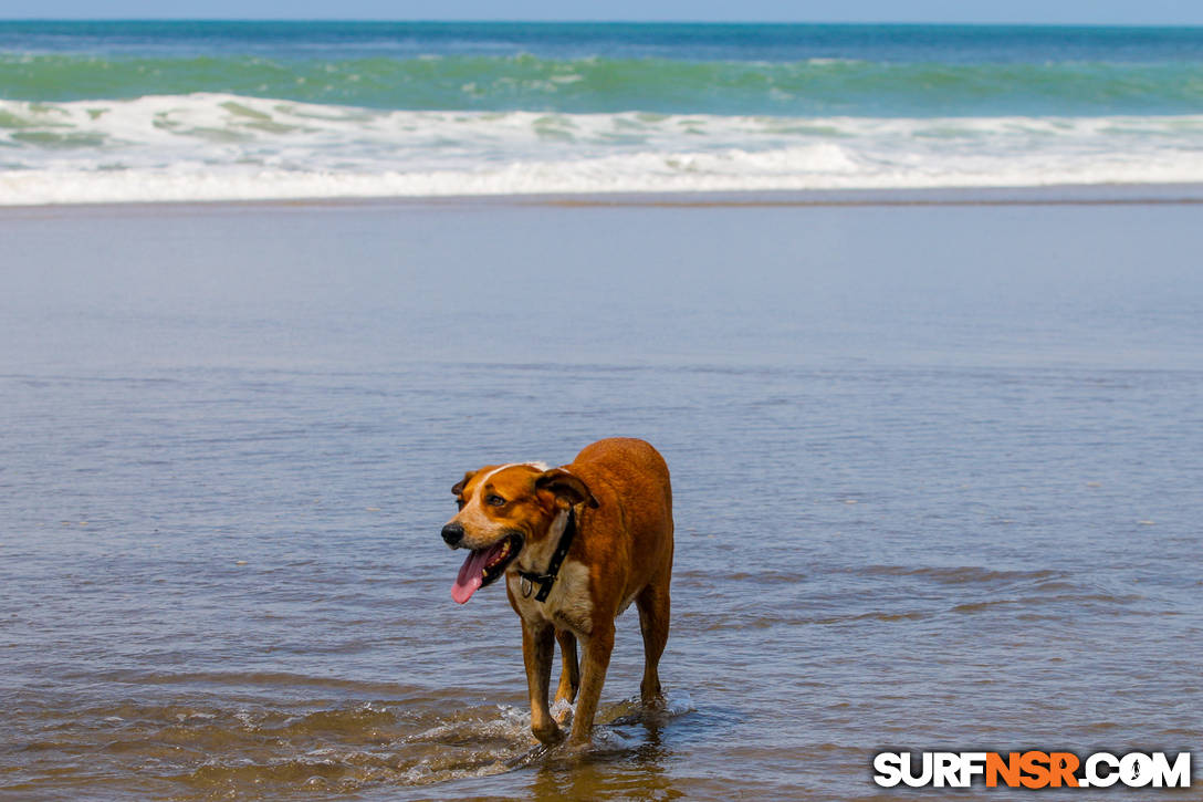 Nicaragua Surf Report - Report Photo 09/04/2021  11:20 AM 