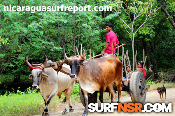 Nicaragua Surf Report - Report Photo 11/27/2012  11:34 AM 