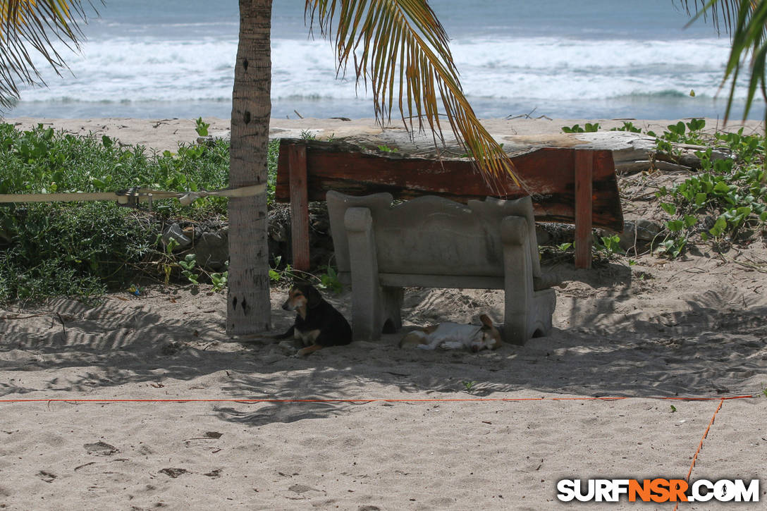 Nicaragua Surf Report - Report Photo 10/14/2015  4:23 PM 