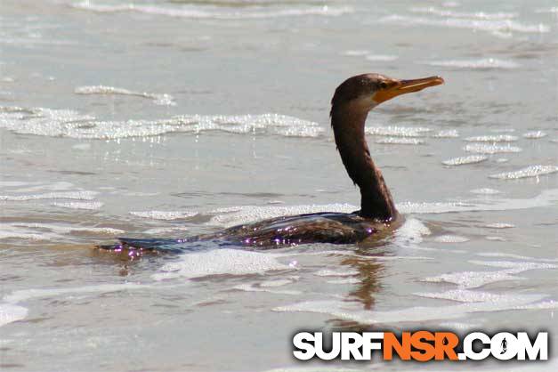 Nicaragua Surf Report - Report Photo 05/10/2006  1:13 PM 
